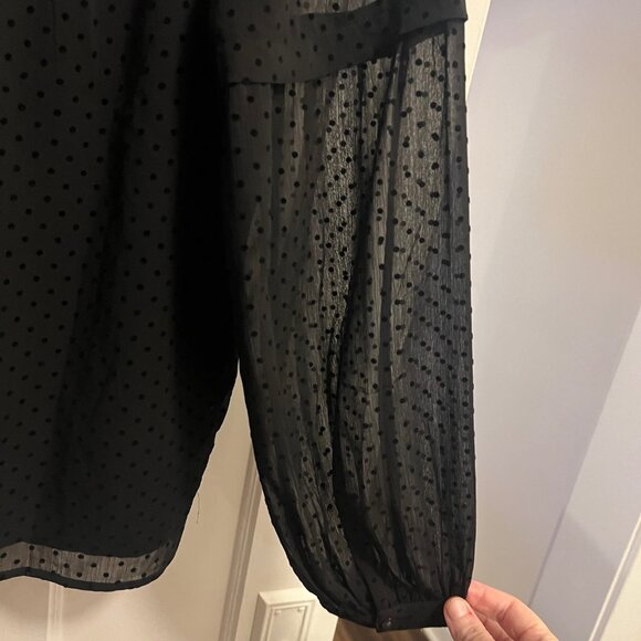 Women's Loft Black Sheer swiss dot blouse size small - Picture 3 of 4